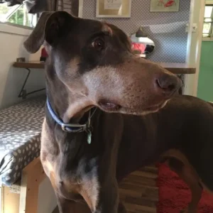 Murphy